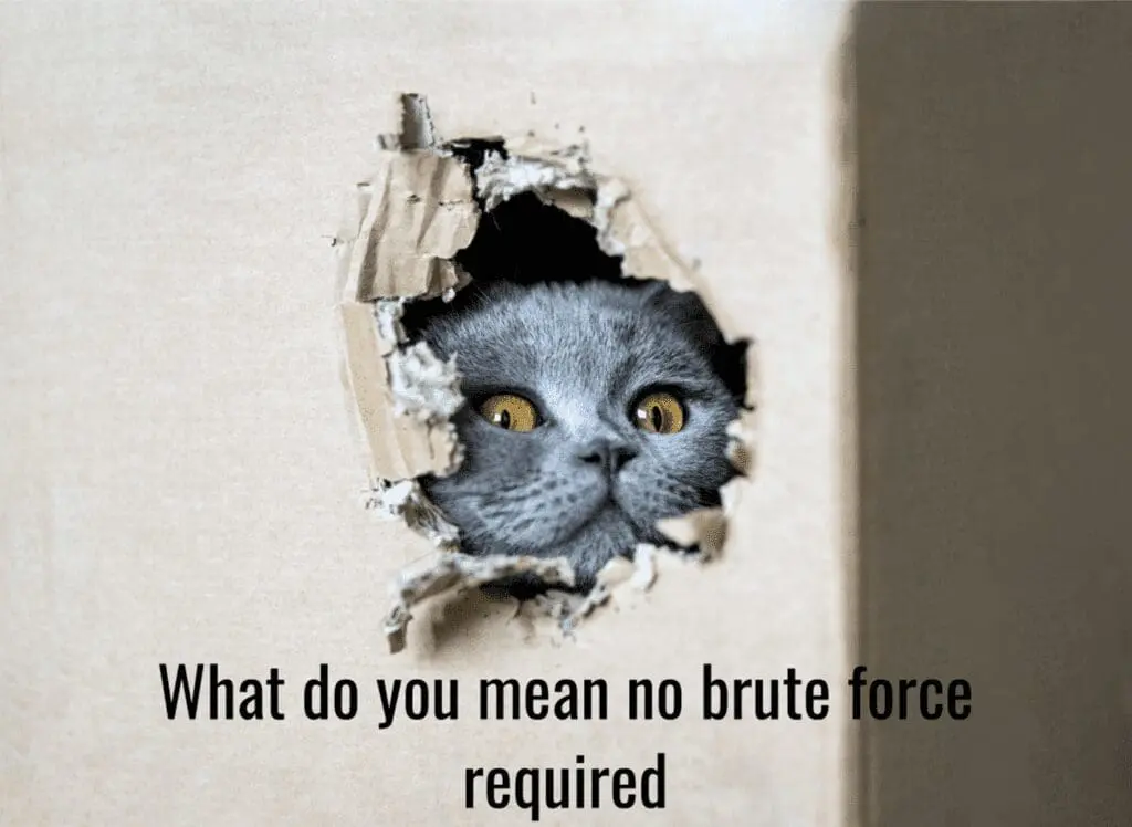 Winning meme: what do you mean no brute force required