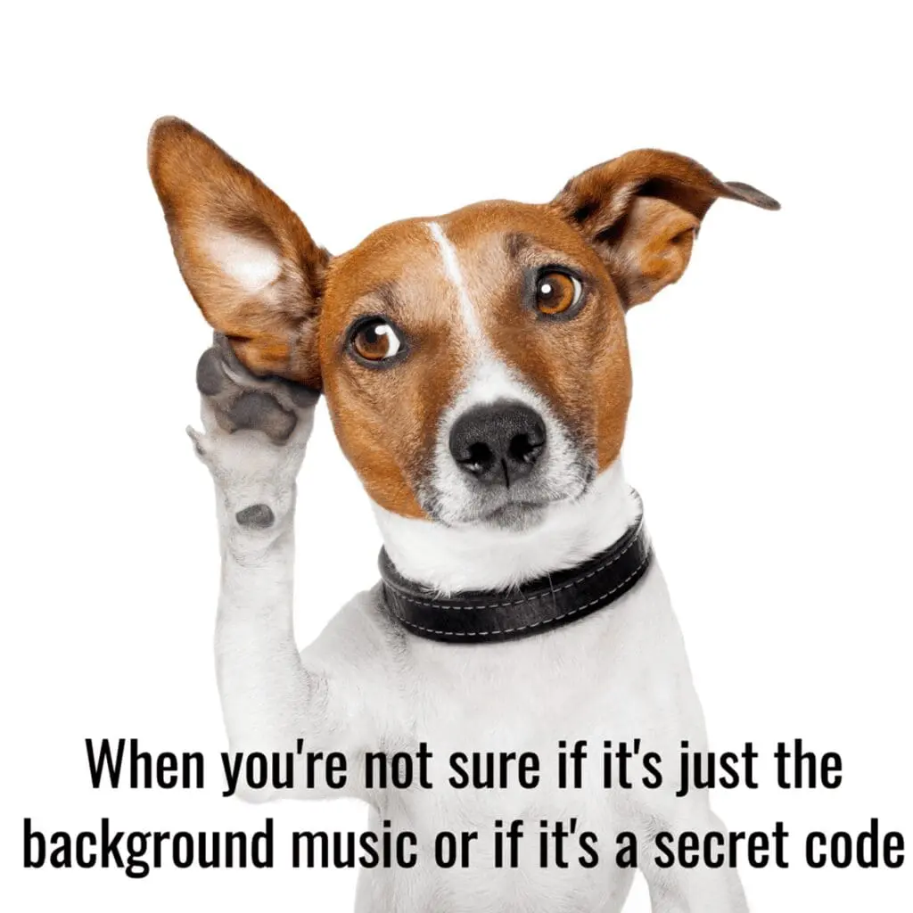 Winning meme: dog unsure if it's background music or a sound clue