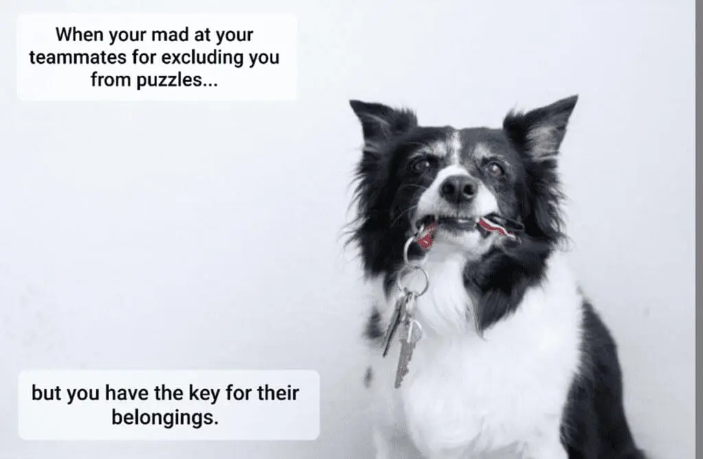 Winning meme: dog looking out of a window