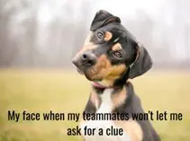 Winning meme: my face when my teammates won't let me ask for a clue