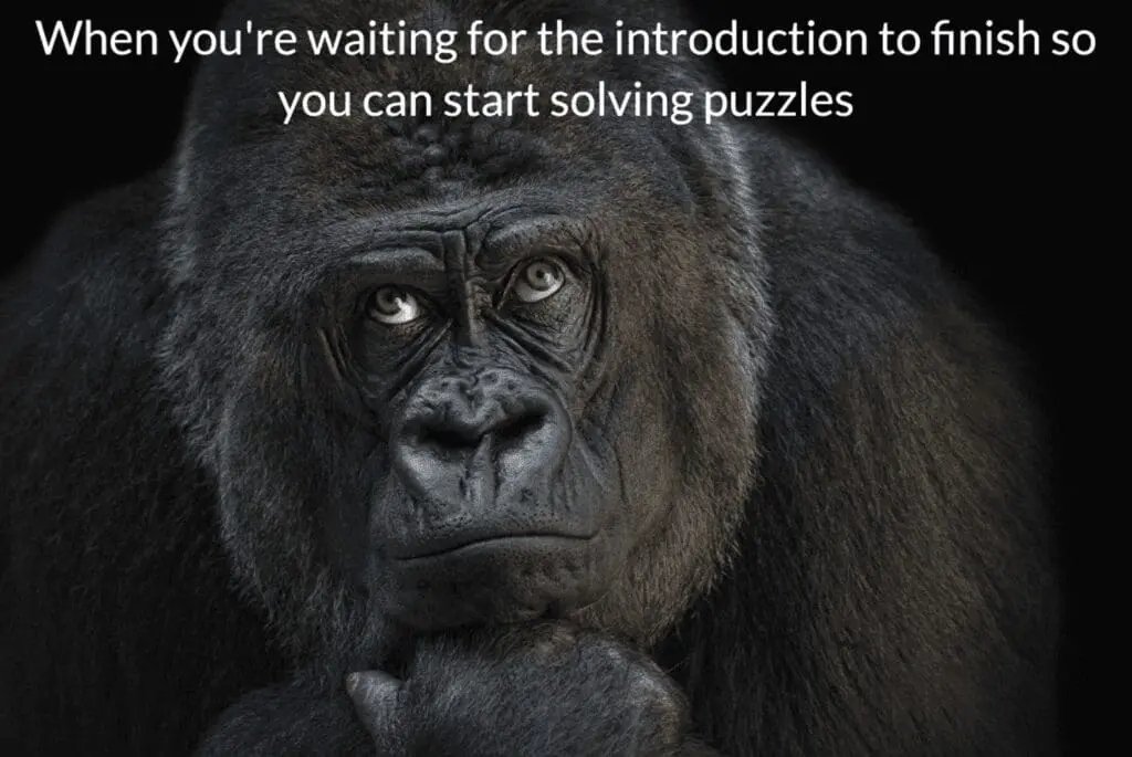 Winning meme: gorilla waiting for the introduction to finish so it can start solving puzzles