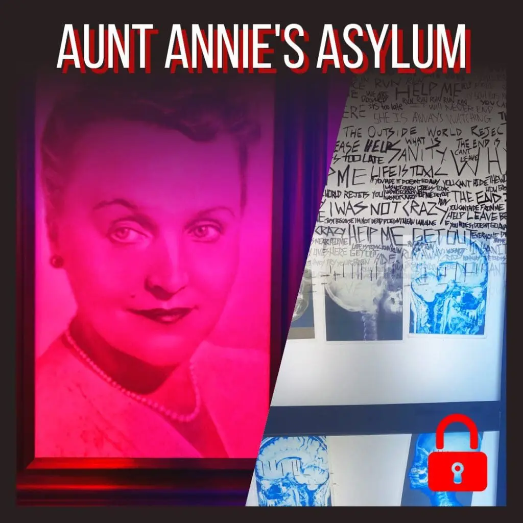 Aunt Annies Asylum room poster