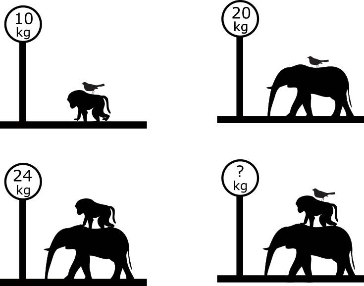 Animal weights puzzle