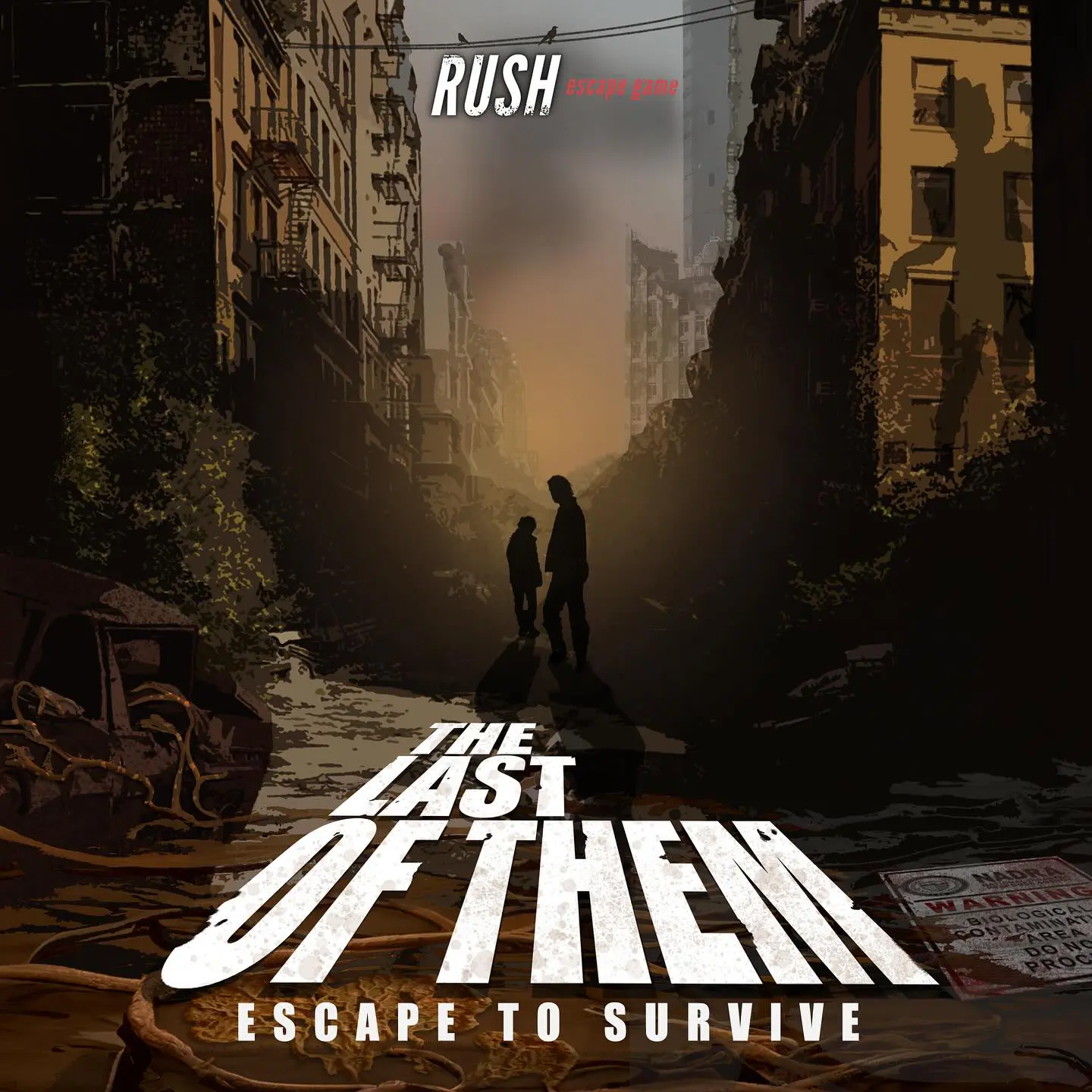 The Last Of Them room poster