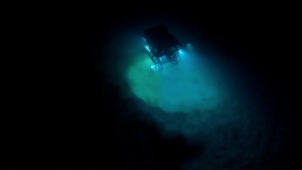 The Deep room poster