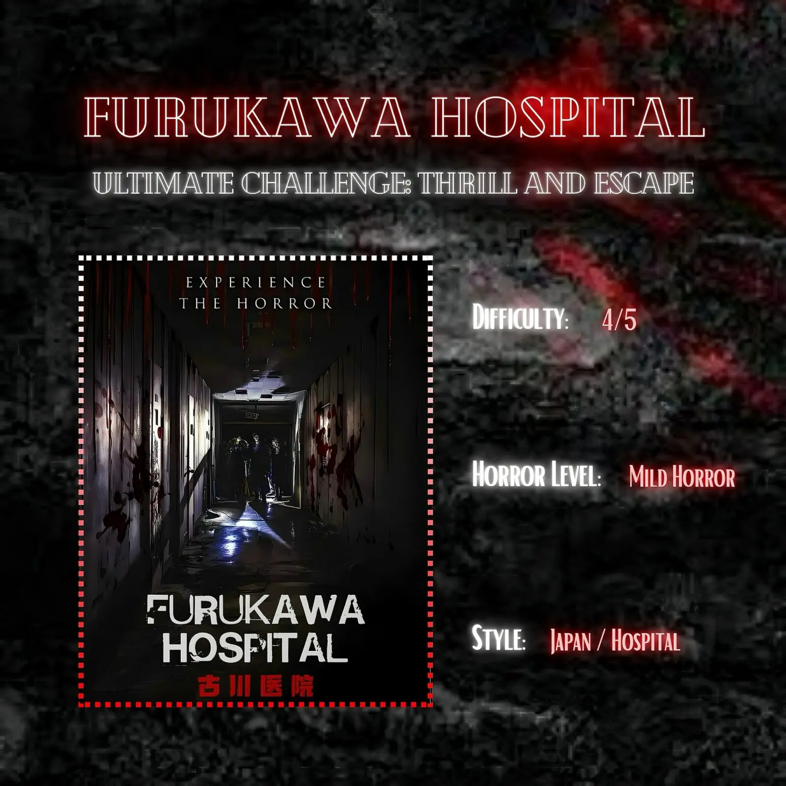 Furukawa Hospital room poster