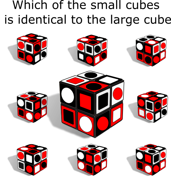 Cube puzzle: which of the small cubes is identical to the large cube?