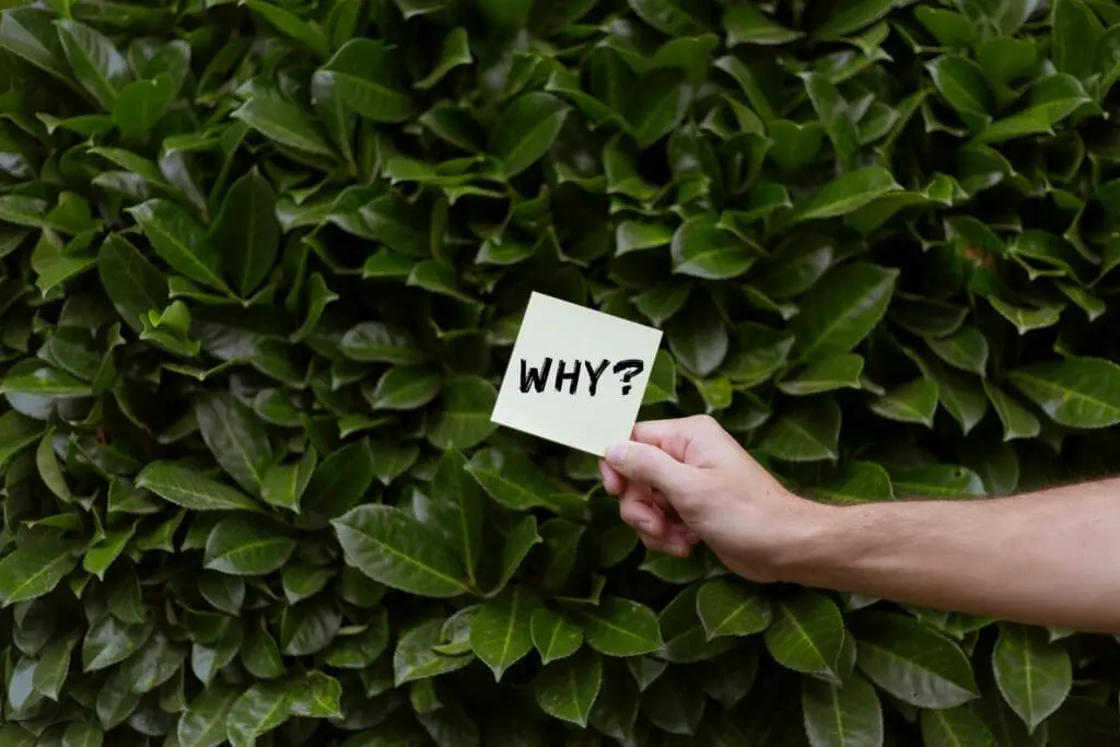 Hand holding a card reading WHY? out of a hedge