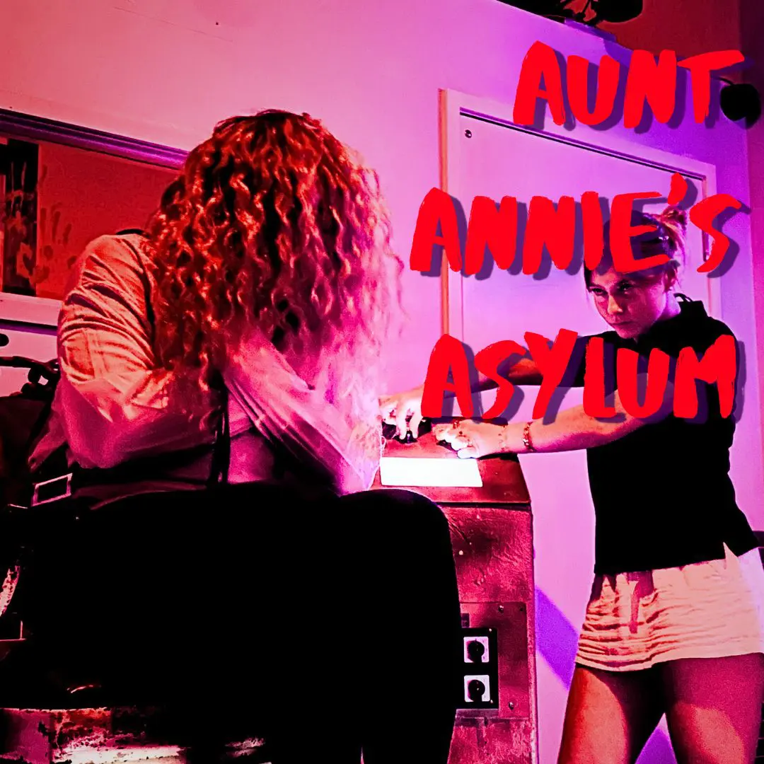 Aunt Annie's Asylum
